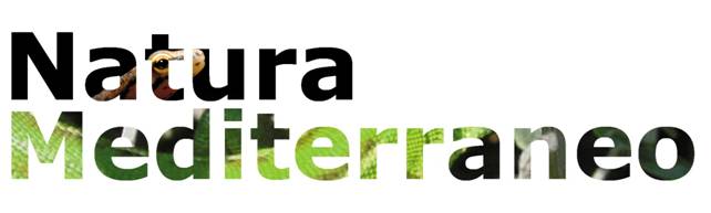 natura mediterraneo new